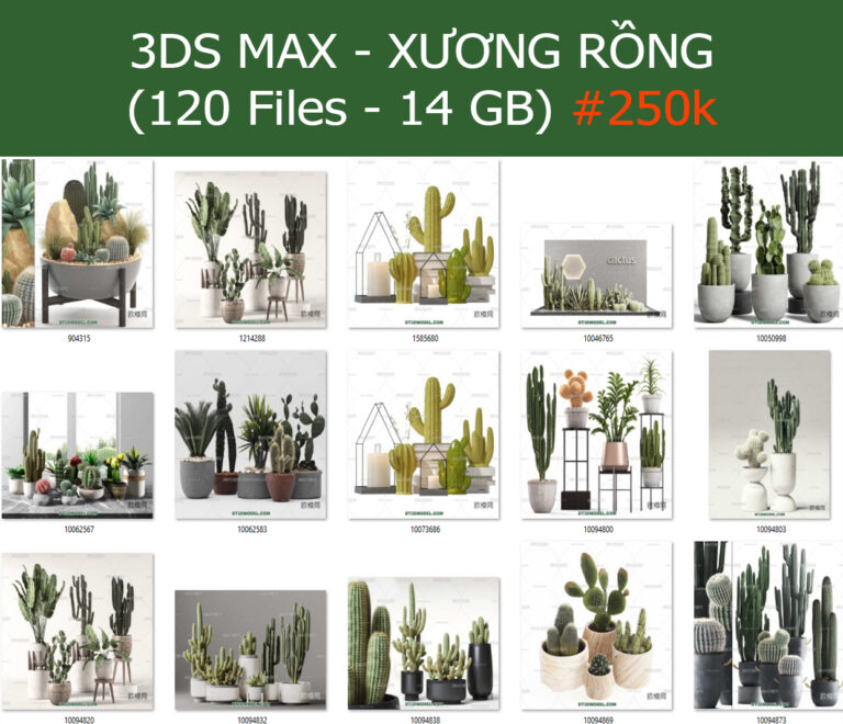 XƯƠNG RỒNG - DT 3D MODEL